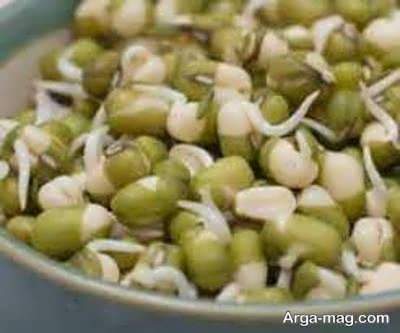 طرز تهیه سالاد جوانه ماش با 4 دستور مقوی و خوشمزه