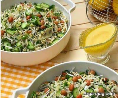 آموزش طرز تهیه سالاد جوانه ماش با طعمی ناب