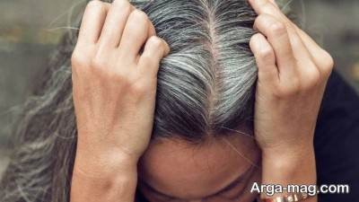 درمان سفیدی مو با رزماری و روغن آن 
