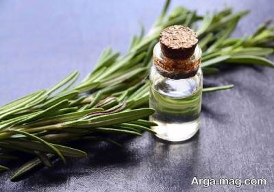 رزماری و خاصیت روغن آن برای پوست و مو چیست؟