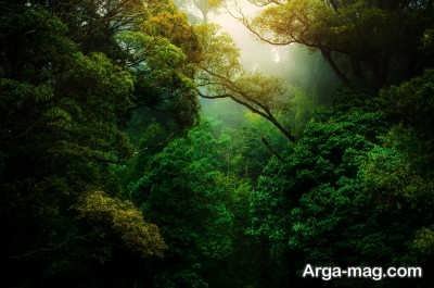 چند کپشن زیبا در مورد طبیعت با انواع متن های پرمحتوا
