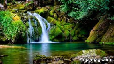 متن در مورد طبیعت