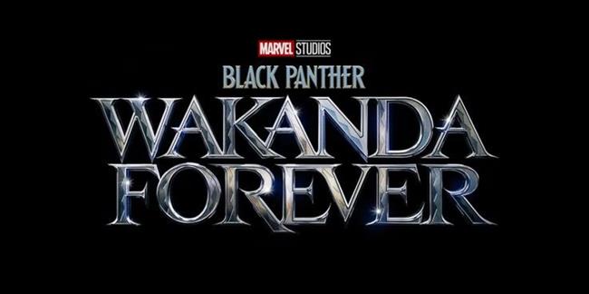 در ادامه این مطلب می خواهیم در مورد تمام فیلم ها و سریال هایی که بر اساس فیلم Black Panther از دنیای سینمایی مارول ساخته می شوند صحبت کنیم.