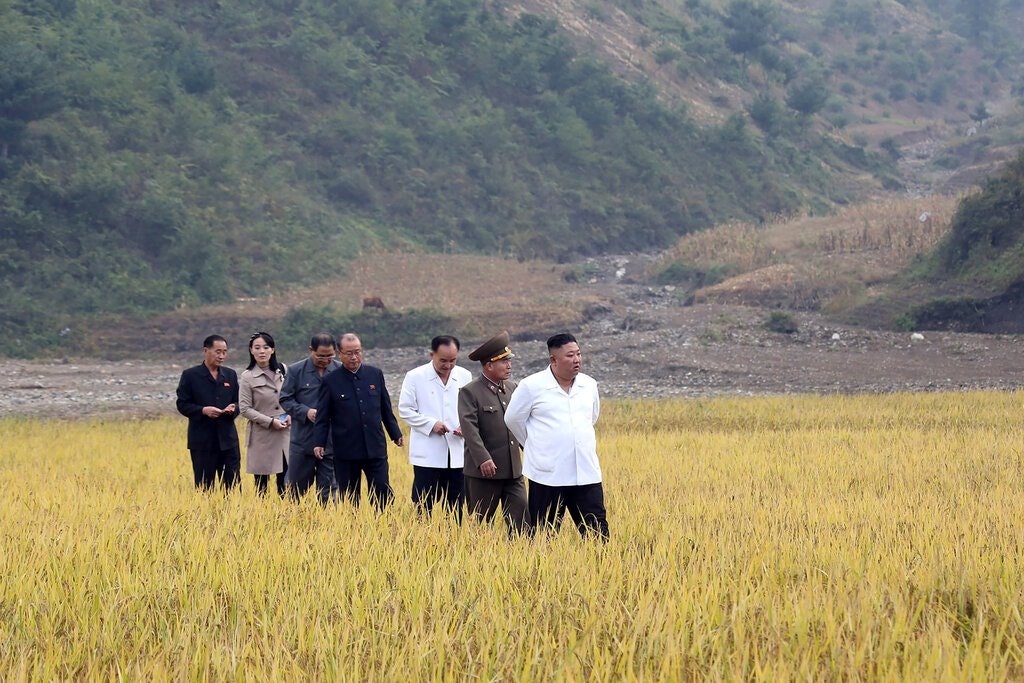 کمبود شدید مواد غذایی در کره شمالی و قیمت حدود 5 پوندی یک عدد موز