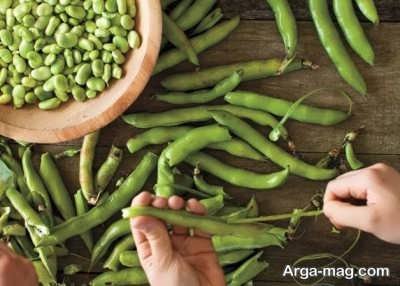فریز کردن باقلا چگونه است؟