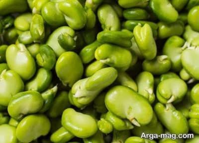 روش انجماد باقلا