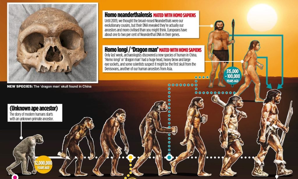 نقض نظریه تکامل داروین؛ آیا تصویر تغییر تدریجی از میمون به انسان دیگر علمی نیست؟
