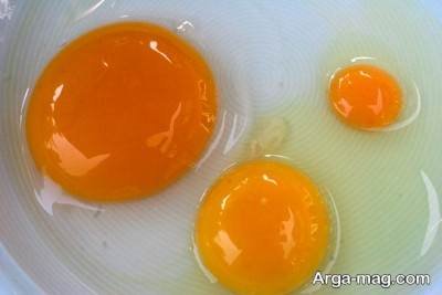 مقایسه ارزش غذایی تخم ادرک و تخم مرغ