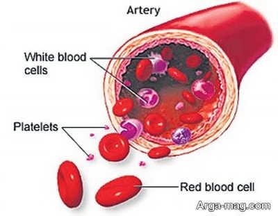 با این روش ها، کمبود پلاکت خون را جبران کنید
