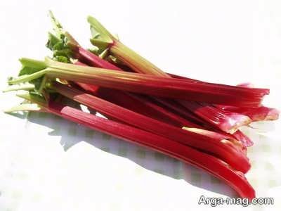 طرز تهیه کمپوت ریواس پر خاصیت