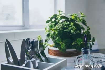 خاصیت دمنوش نعناع