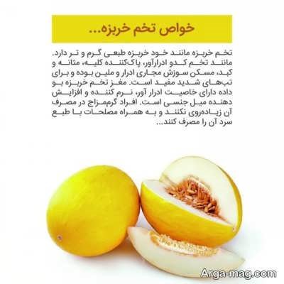 معرفی خواص تخم خربزه