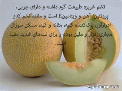 آشنایی با خواص تخم خربزه