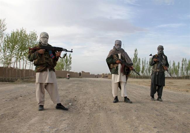 آمریکا و طالبان هم‌پیمان شده‌اند - تابناک ؛ TABNAK