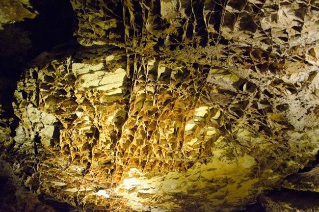 Wind Cave National Park, South Dakota