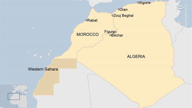 رویارویی مدرنترین تسلیحات روسی و غربی در شمال افریقا / نگاهی به توان نظامی دو کشور مغرب و الجزایر در درگیری احتمالی +تصاویر