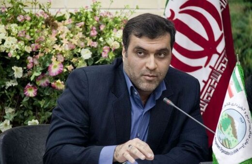 مجلس یازدهم و آزمون طرح های دوقلو