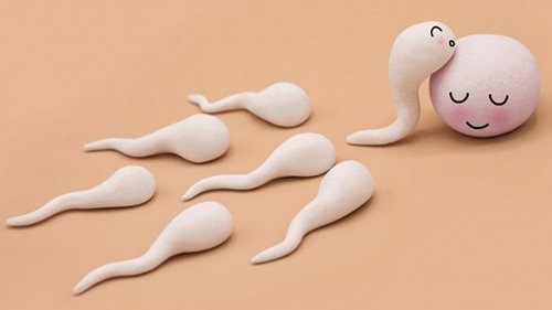 کدام مواد غذایی کیفیت اسپرم را بهتر می‌کند؟