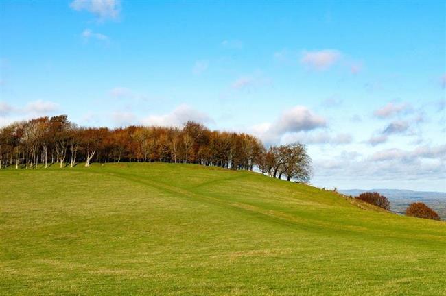 Chanctonbury Ring, West Sussex, UK