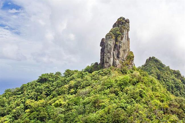 Cross-Island Hike to Te Rua Manga (The Needle), Rarotonga