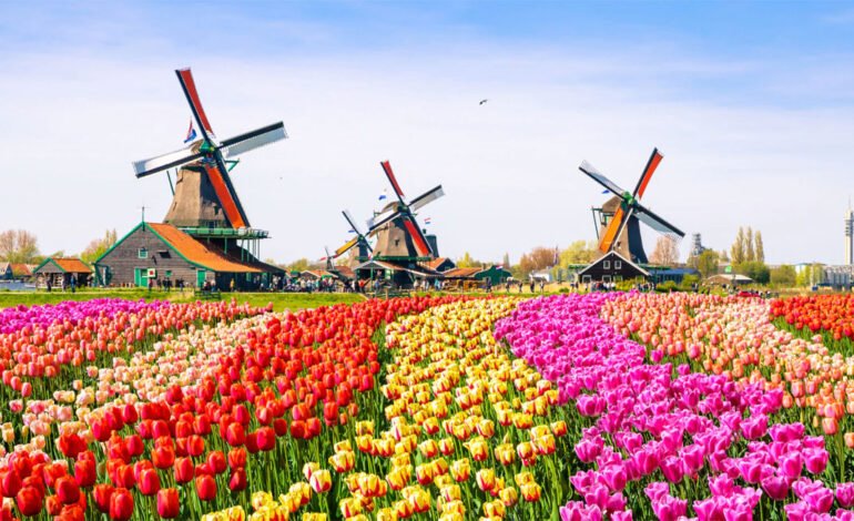 برترین جاذبه‌های گردشگری هلند – بخش دوم