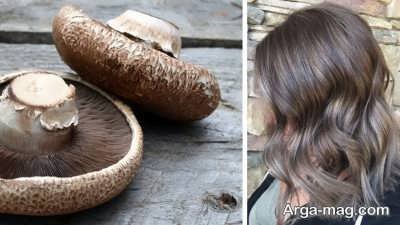 رنگ موی قهوه ای قارچی در سال 2022 