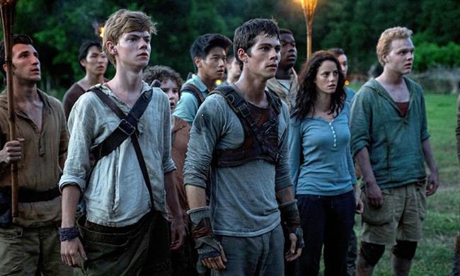 The Maze Runner