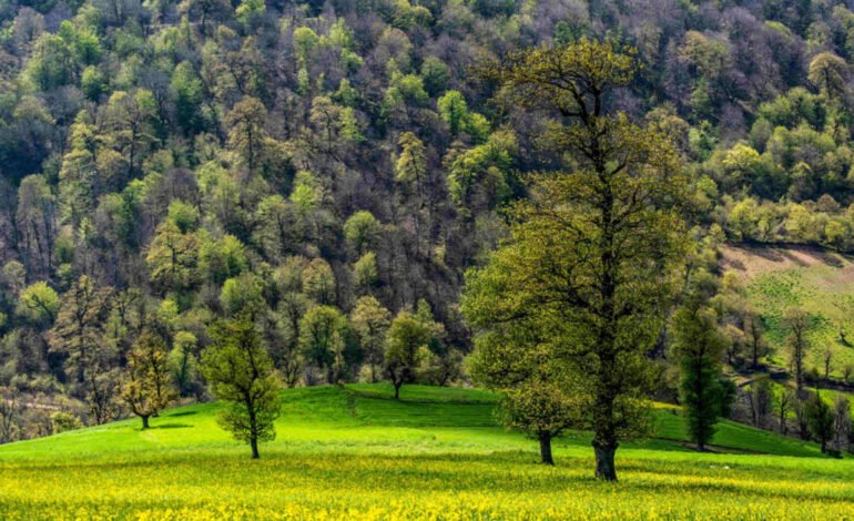 مهم‌ترین فعالیت‌های مسئولیت اجتماعی سامسونگ در سال 2021