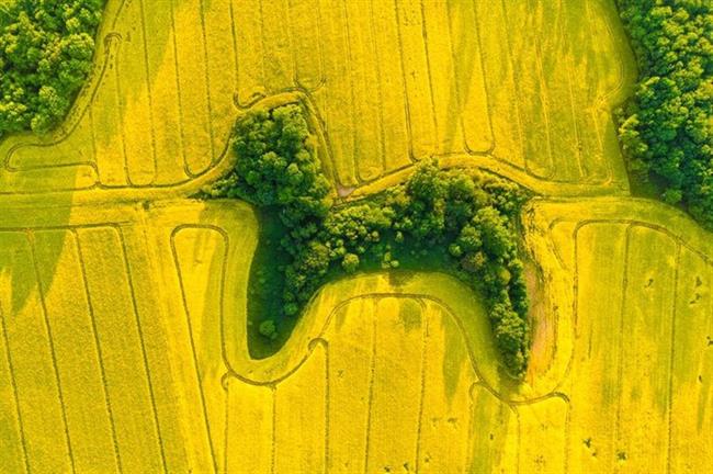 Jan Ulicki/Drone Photo Awards 2021