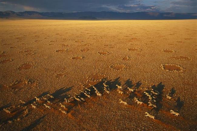 George Steinmetz/Drone Photo Awards 2021