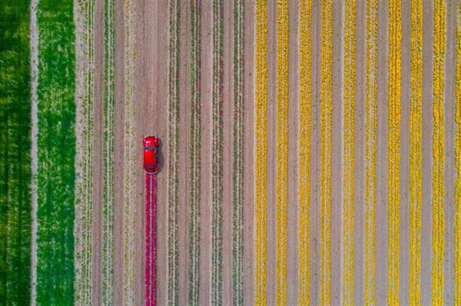 F. Dilek Uyar/Drone Photo Awards 2021