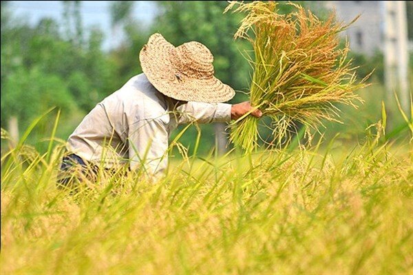 با داشتن این شغل‌ها چاق نمی‌شوید!