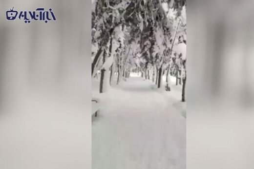ببینید ؛ ویدیویی رویایی از شهر پاوه کردستان در آغوش سفیدِ برف