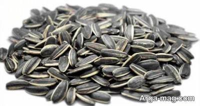 معنی رویای تخمه از دیدگاه شیخ طوسی