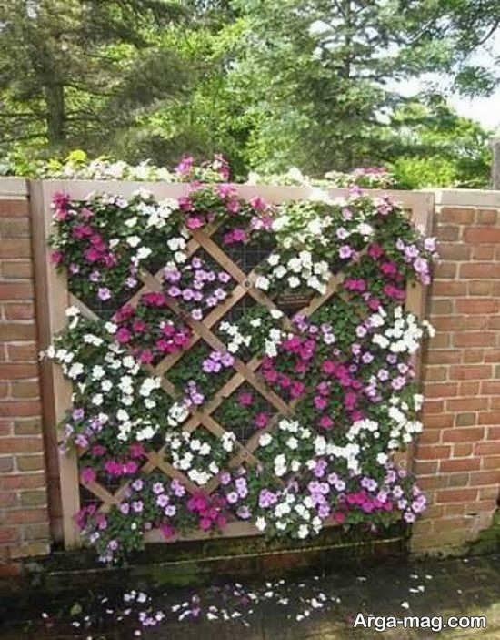 تزئینات زیبای دیوار حیاط