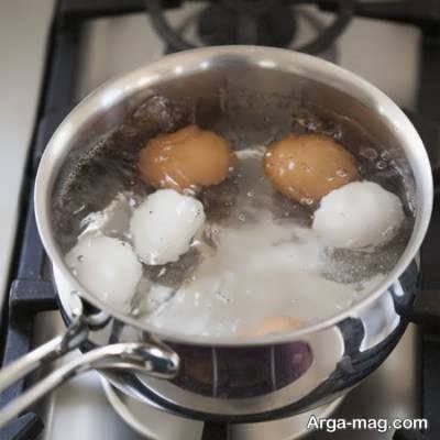 تخم مرغ آب پز شده 