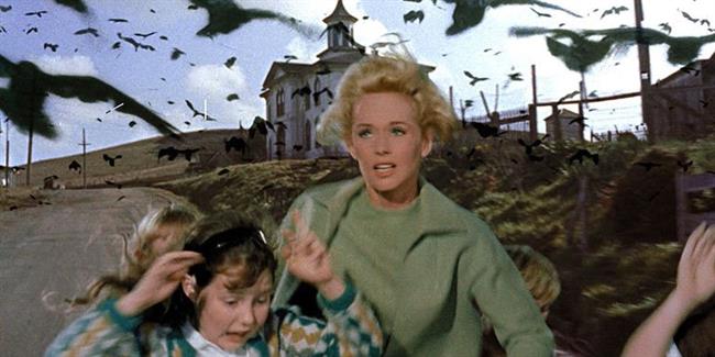 The Birds (1963)