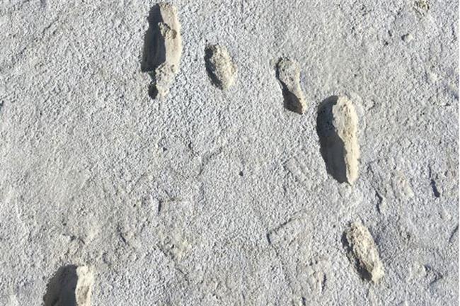 Fossilised footprints, White Sands National Park, New Mexico