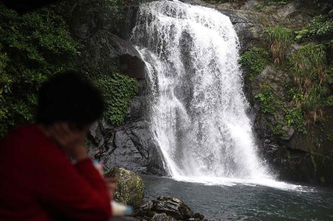 Neidong National Forest, New Taipei City