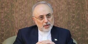 نظر علی اکبر صالحی درباره نحوه اخراج آمریکا از ایران/ صحبت‌های یک نماینده در دفاع از "برنج گران"!