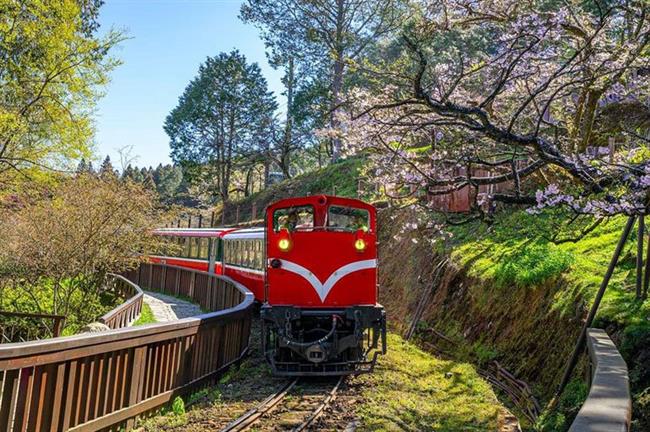 Alishan, Chiayi County