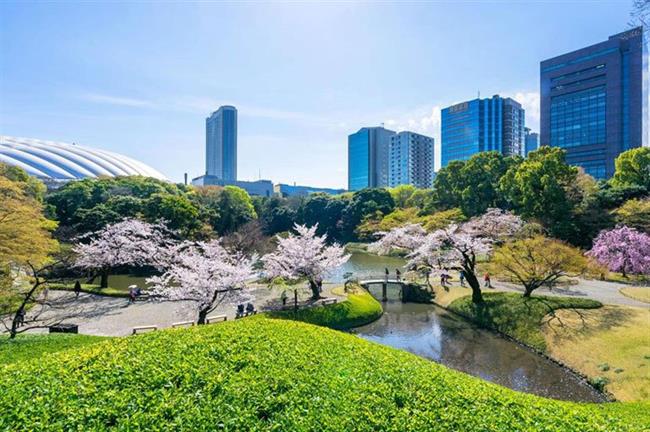 Koishikawa-Kōrakuen Gardens, Tokyo, Japan