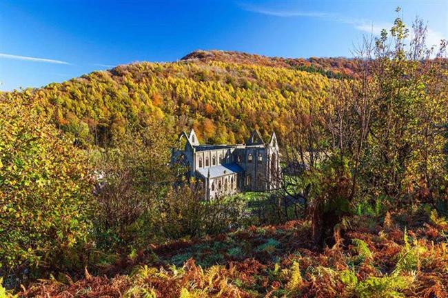 Tintern Abbey, Tintern, Monmouthshire, Wales