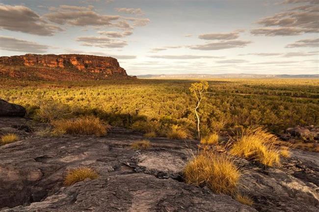 Kakadu National Park, Northern Territory