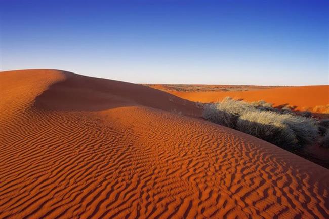 Simpson Desert