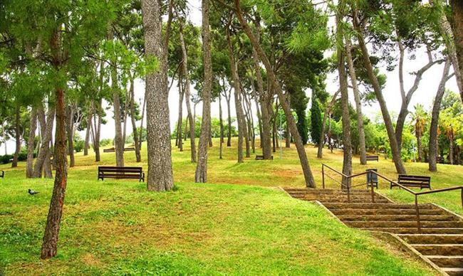 Parc de Turó de la Peira (Turó de la Peira Park)