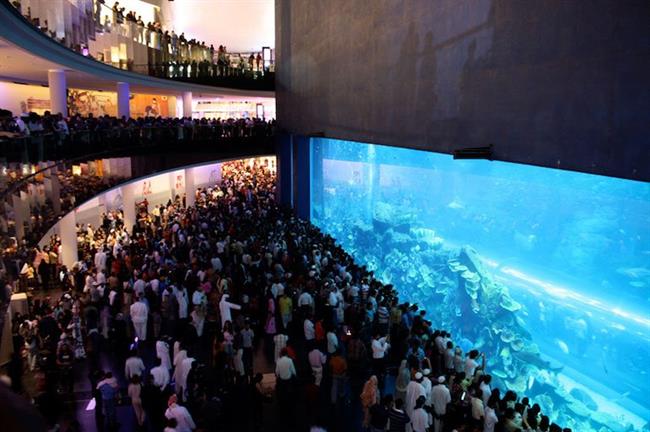 Dubai Mall Aquarium (2,64 million gallons)