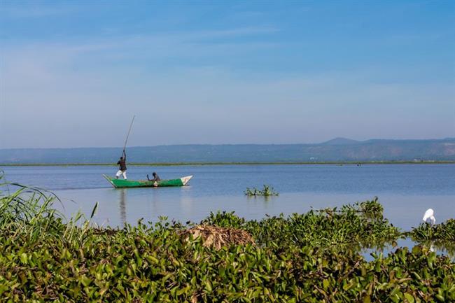 Lake Victoria (68,870 km2)