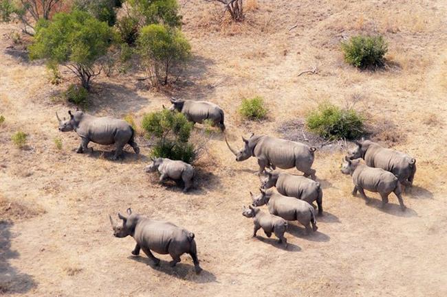 Kruger National Park