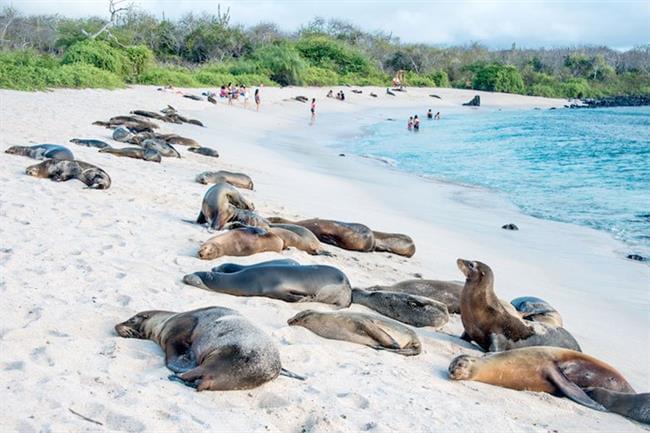 Galapagos National Park